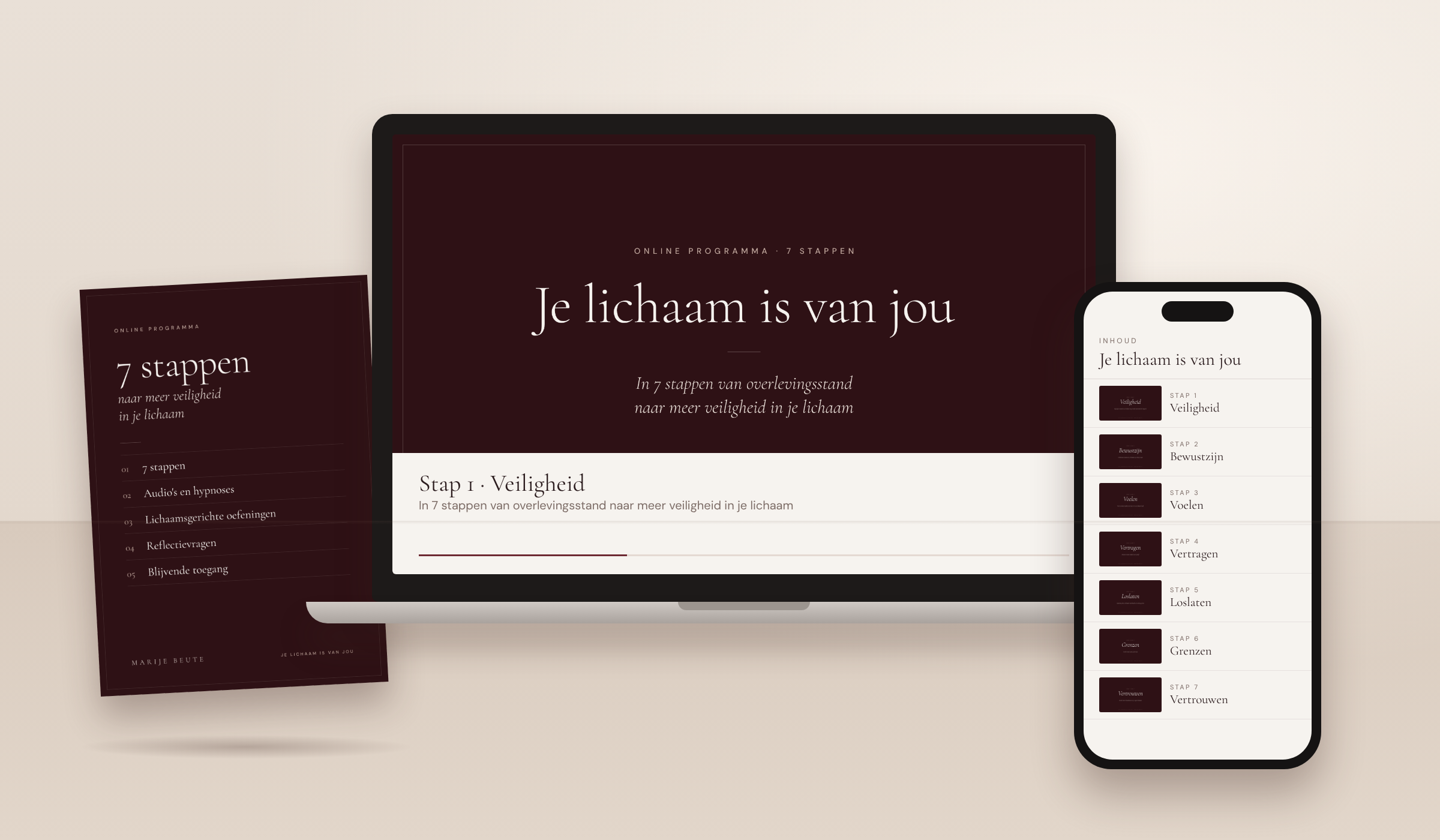 Het online programma In 7 stappen op laptop en telefoon
